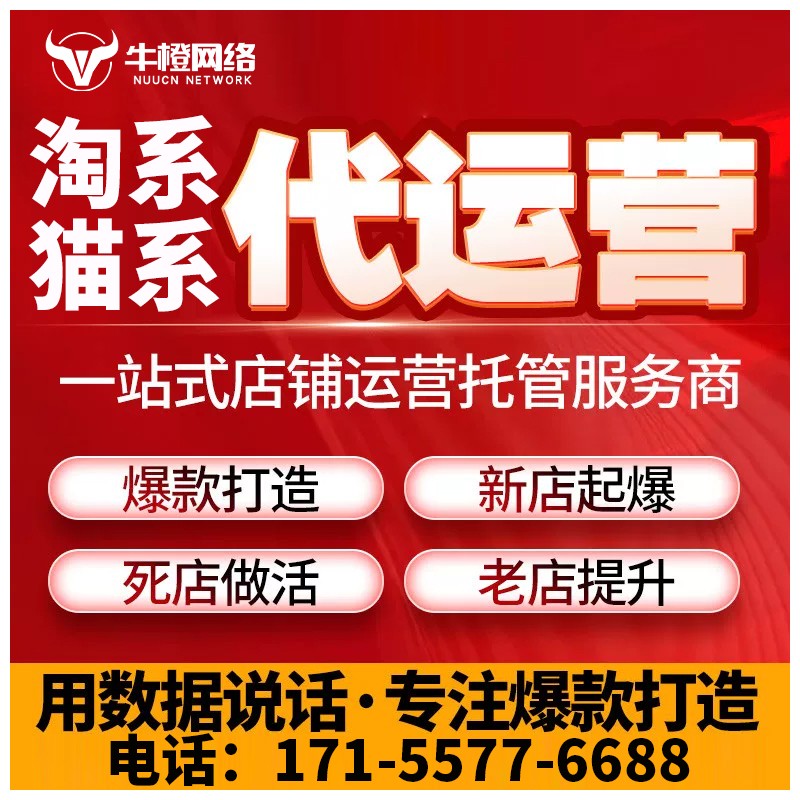 公主岭淘宝天猫代运营