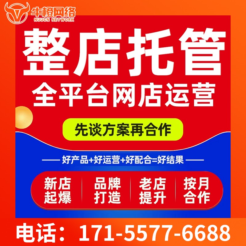 公主岭爱采购代运营