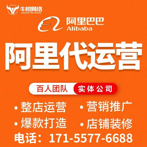 公主岭电商代运营