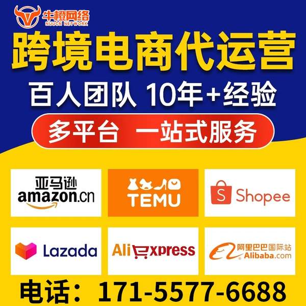 公主岭电商代运营