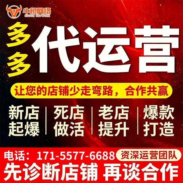 公主岭电商代运营