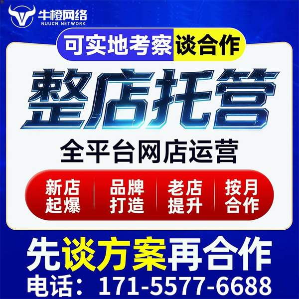 公主岭电商代运营