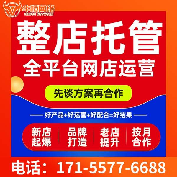 公主岭电商代运营