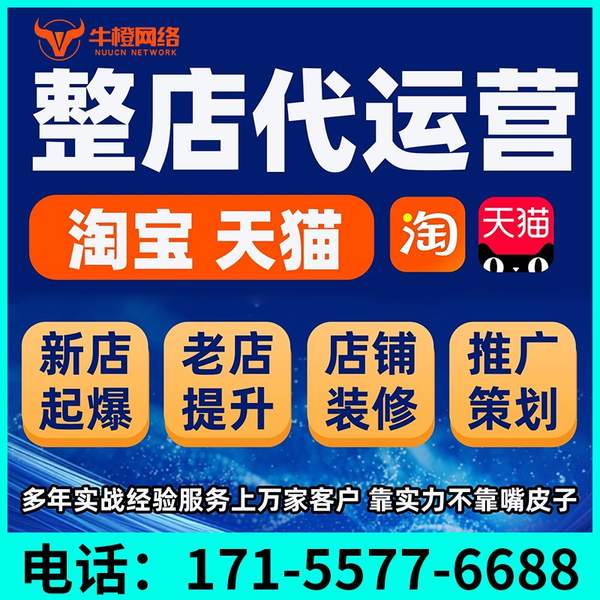 公主岭电商代运营