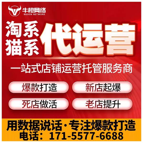 公主岭电商代运营